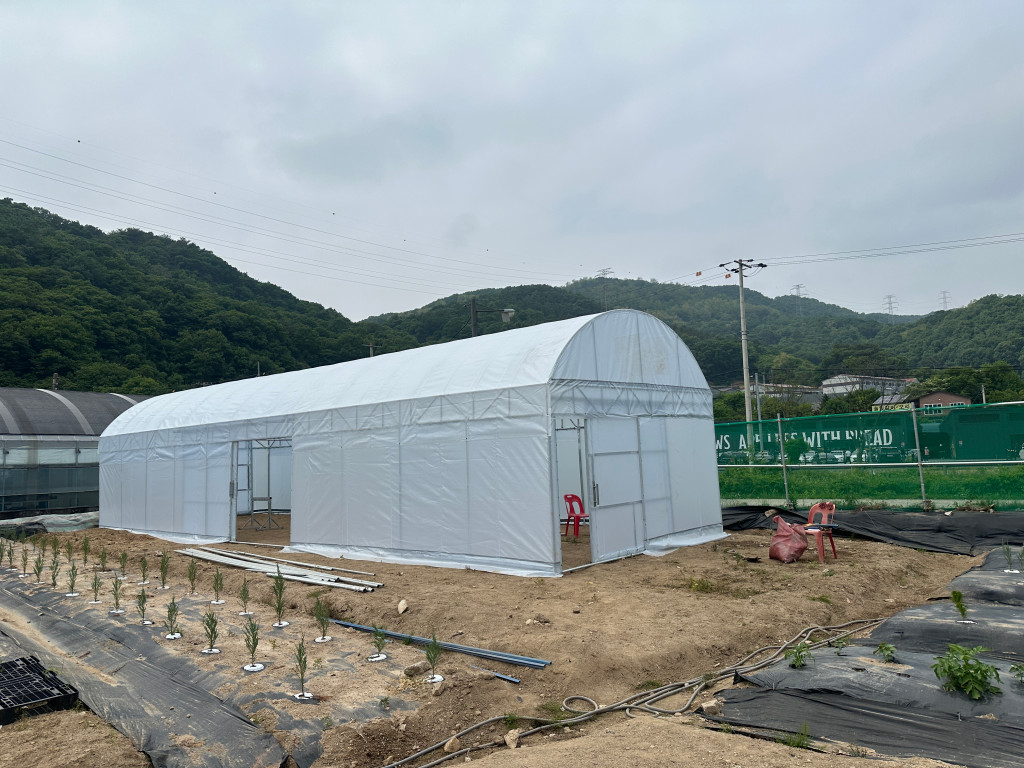 /user/0/01056599693/editor/2501/83beca4b0618858e6c156b502cb0b5ee_1738164073_0391.jpg 이미지크게보기