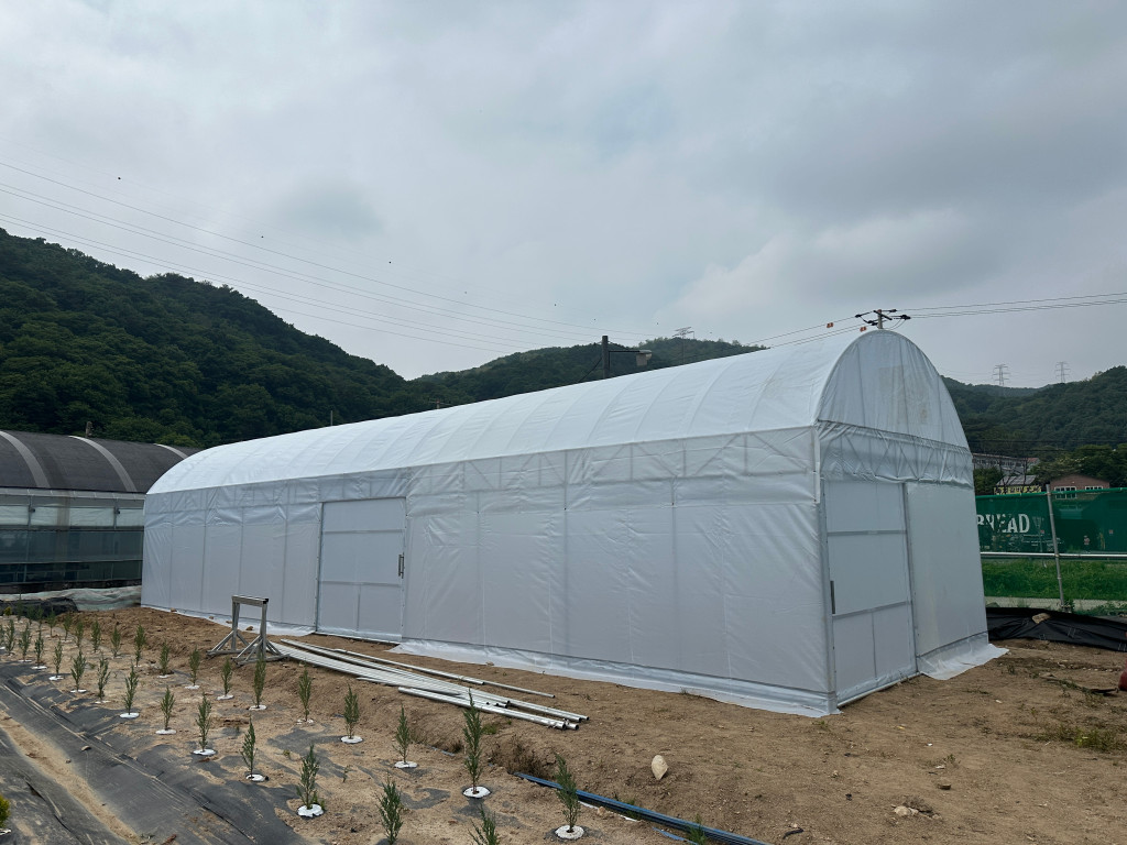 /user/0/01056599693/editor/2501/83beca4b0618858e6c156b502cb0b5ee_1738164073_5082.jpg 이미지크게보기